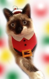 Gravata Barriga de Papai Noel - 10 unidades
