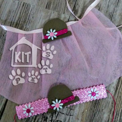 Conjunto Saia em TNT + coleira - 10 unidades - Image 3
