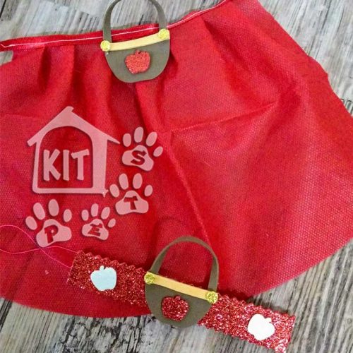Conjunto Saia em TNT + coleira - 10 unidades - Image 4