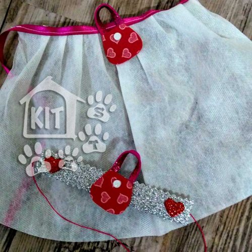 Conjunto Saia em TNT + coleira - 10 unidades - Image 5