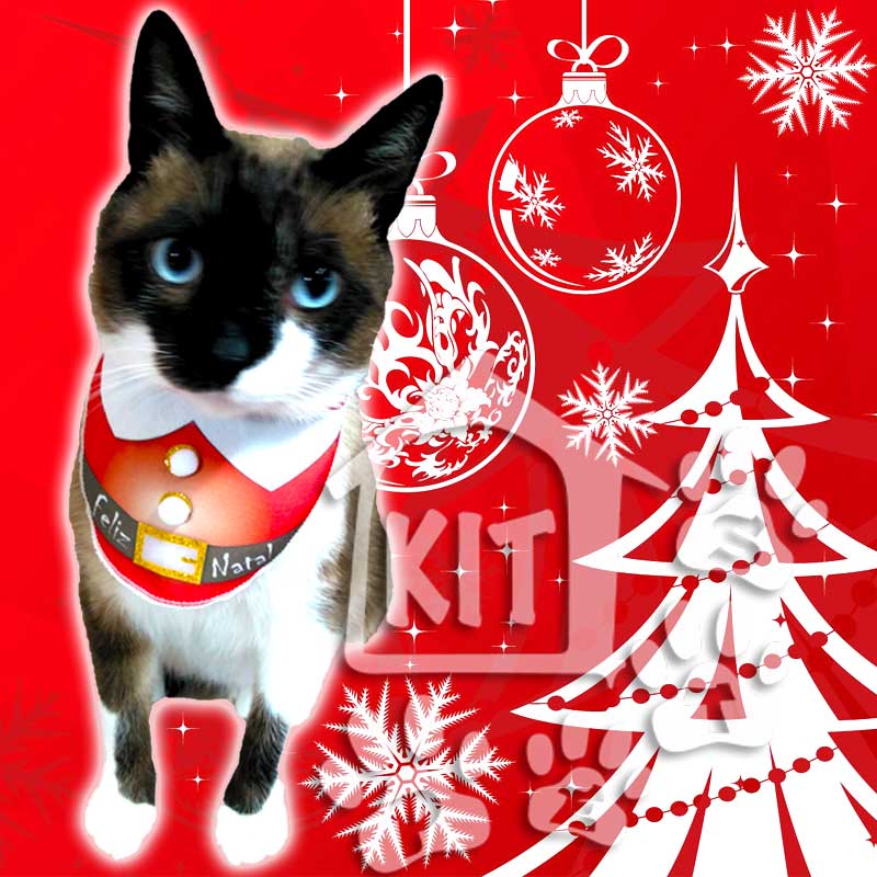 Babador de Natal Fêmea - 10 unidades - Imagem 3