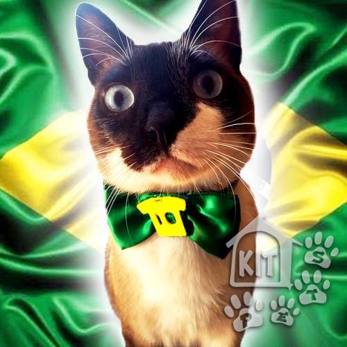 Gravata Borboleta Copa - 10 unidades - Imagem 2