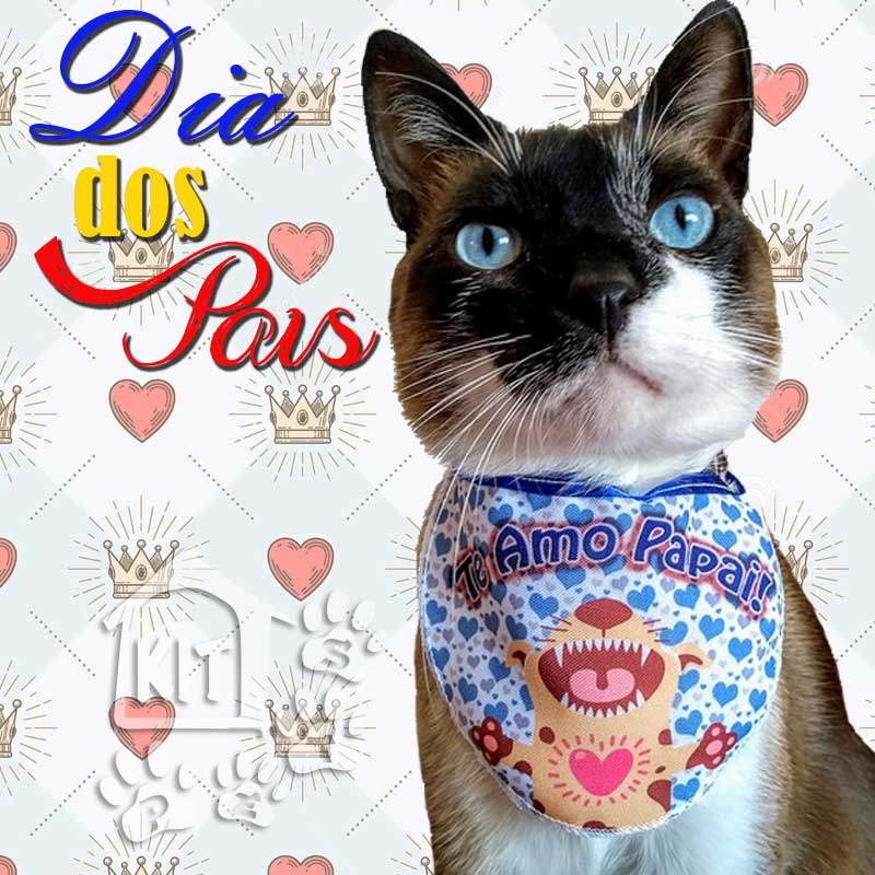 Babador dia dos Pais - 10 unidades - Imagem 2