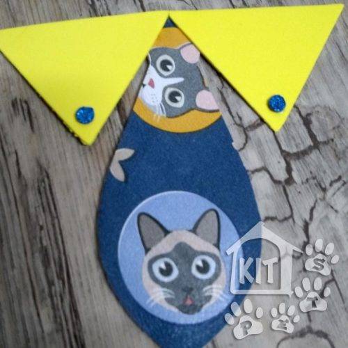 Gravata com Colarinho em couro Cat - 10 unidades - Image 3