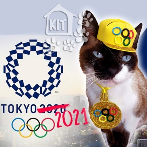 Medalha de Ouro - 10 unidades - Imagem 2