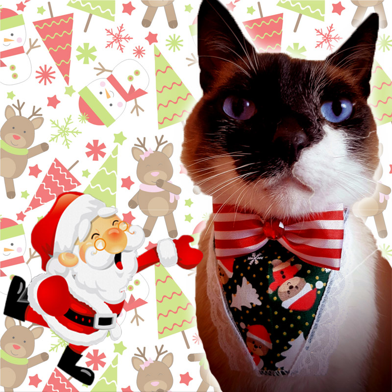 Camisa de Natal - 10 unidades - Imagem 2