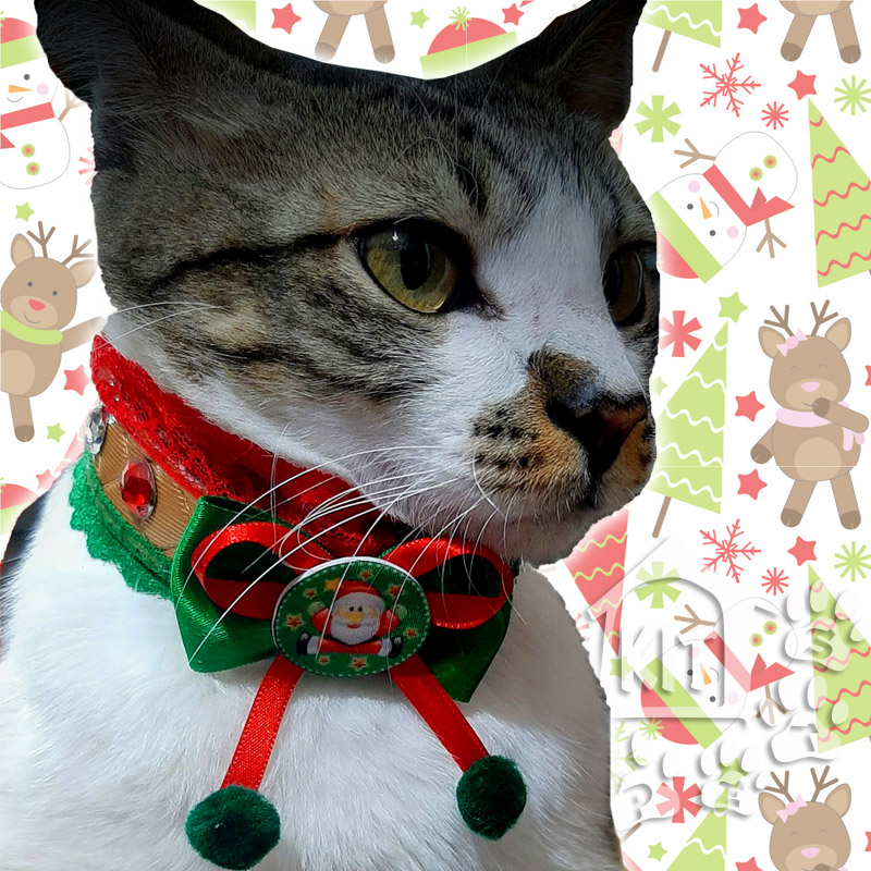 Coleira de Natal - 10 unidades