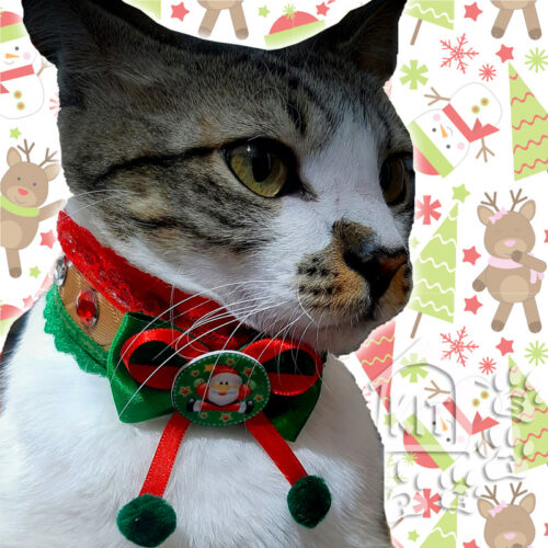 Coleira de Natal - 10 unidades