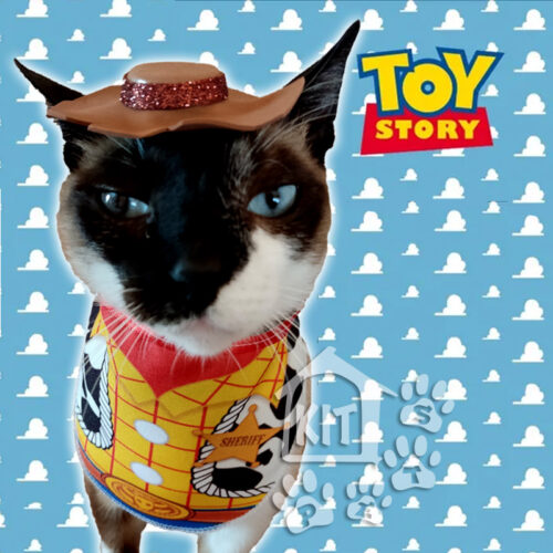 Conjunto Toy Story - 10 unidades - Image 2