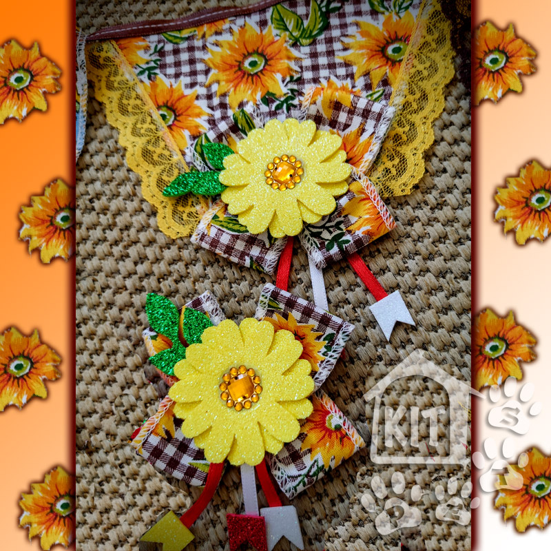 Conjunto Luxo Junino - 10 conjuntos