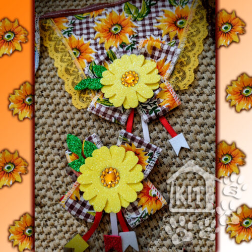 Conjunto Luxo Junino - 10 conjuntos