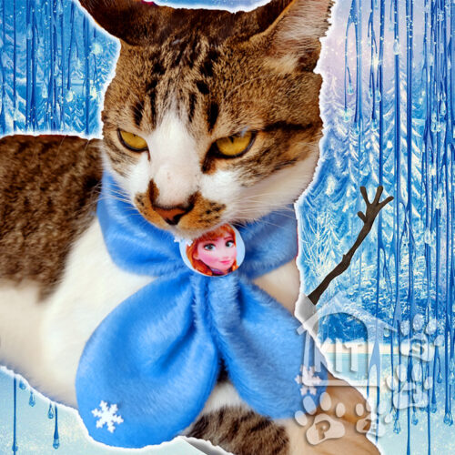 Cachecol Peludinho da Frozen - 10 unidades