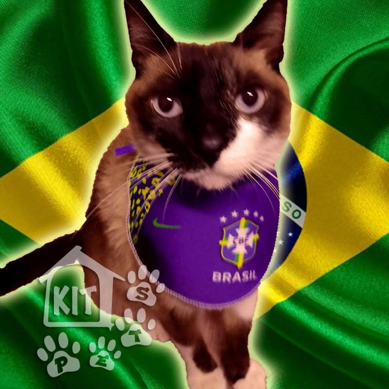 Babador Camisa Copa Amarela e Azul - 10 unidades - Imagem 2