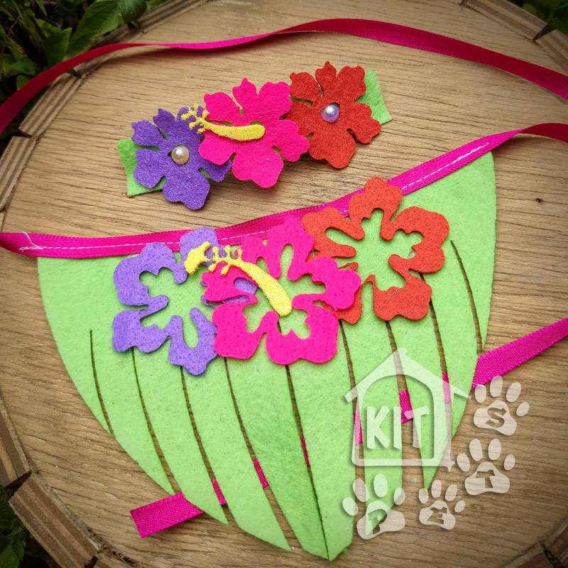 Conjunto Havaiana - 10 unidades