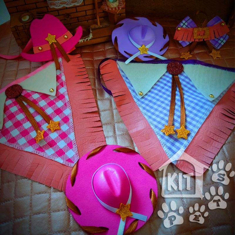 Conjunto Cowgirl com chapéu - 10 unidades
