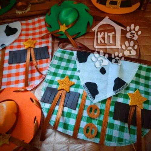 Conjunto Cowboy com chapéu Topete - 10 unidades - Image 3