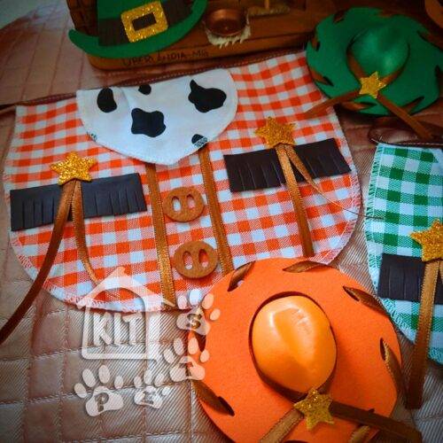 Conjunto Cowboy com chapéu - 10 unidades