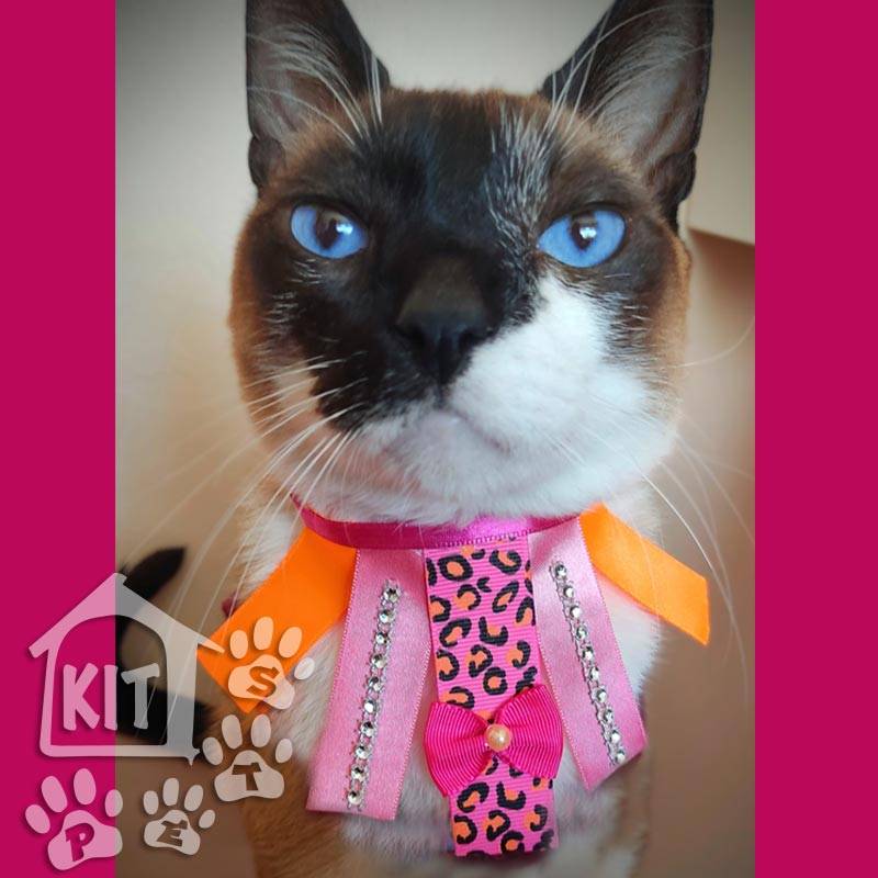 Conjunto Gargantilhas Fitas Kitpets - 10 unidades