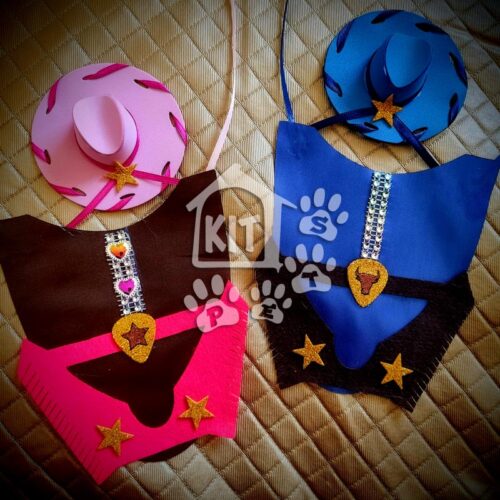 Conjunto Country Star - 10 unidades - Image 2