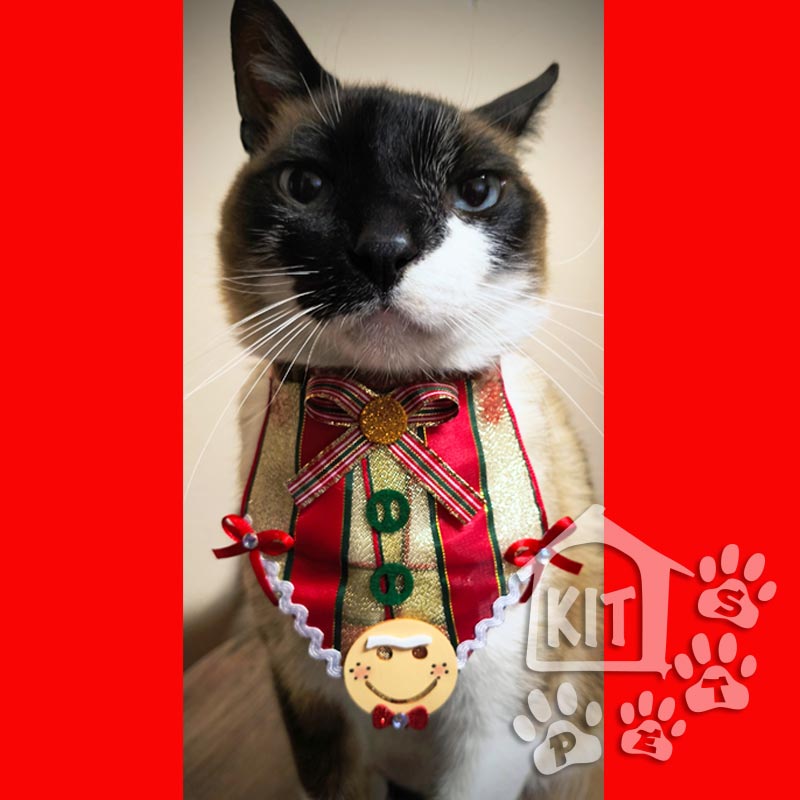 Babador Biscoito de Natal - 10 unidades - Imagem 2
