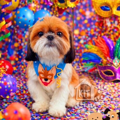 Gargantilha de Carnaval Dog Mascarado- 10unidades